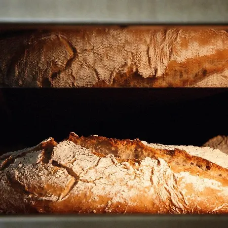 Maison d'hôtes Le Jas Du Mas Saint-Anthème