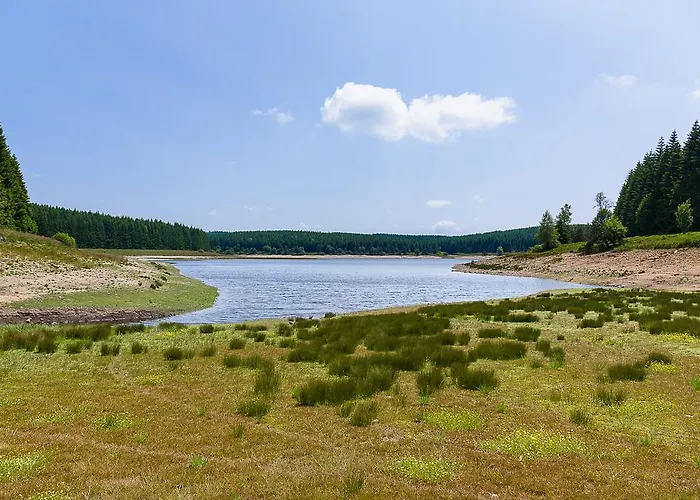 Pensjonat Le Jas Du Mas Saint-Anthème